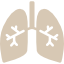 Лечение болезней органов дыхания в санатории Евпатории