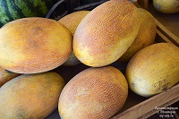 Дыни на рынке в Евпатории