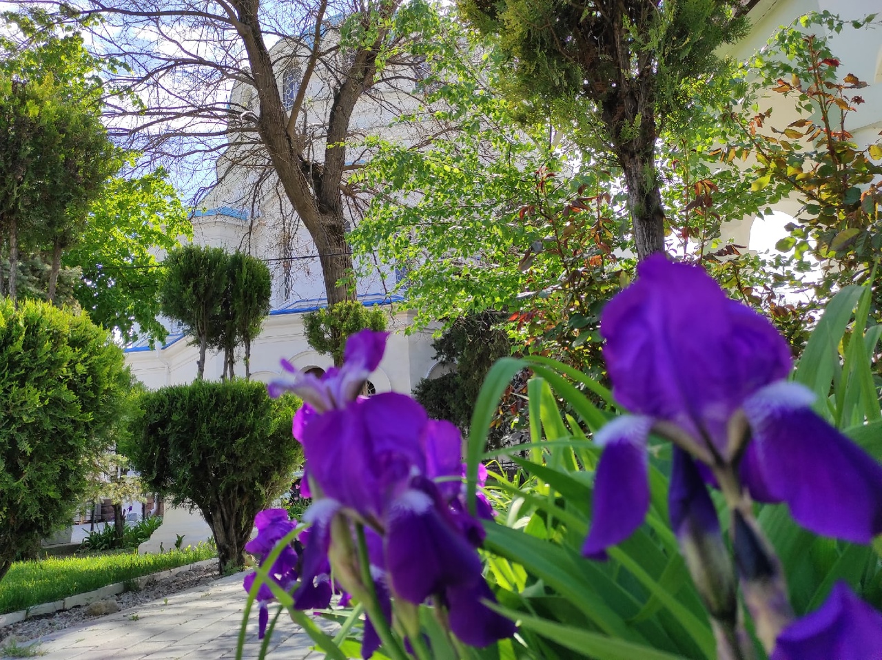 Весна в Евпатории Отпуск в Евпатории весной