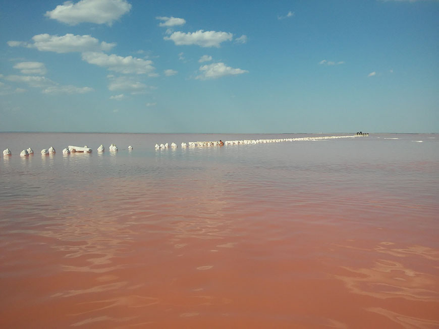 Розовое озеро возле Евпатории